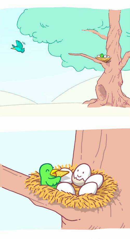 Soft Boiled Chapter 1 trang 8