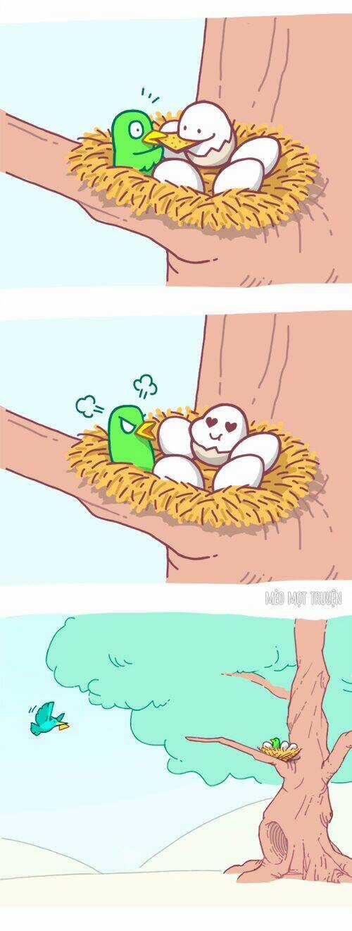 Soft Boiled Chapter 1 trang 9