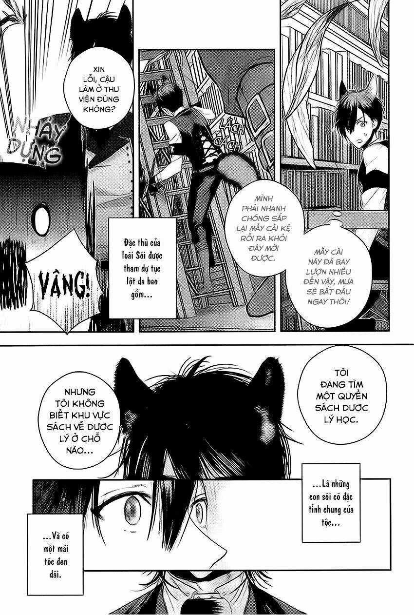 Sói Đen Và Cáo Bạc Chapter 1 trang 10
