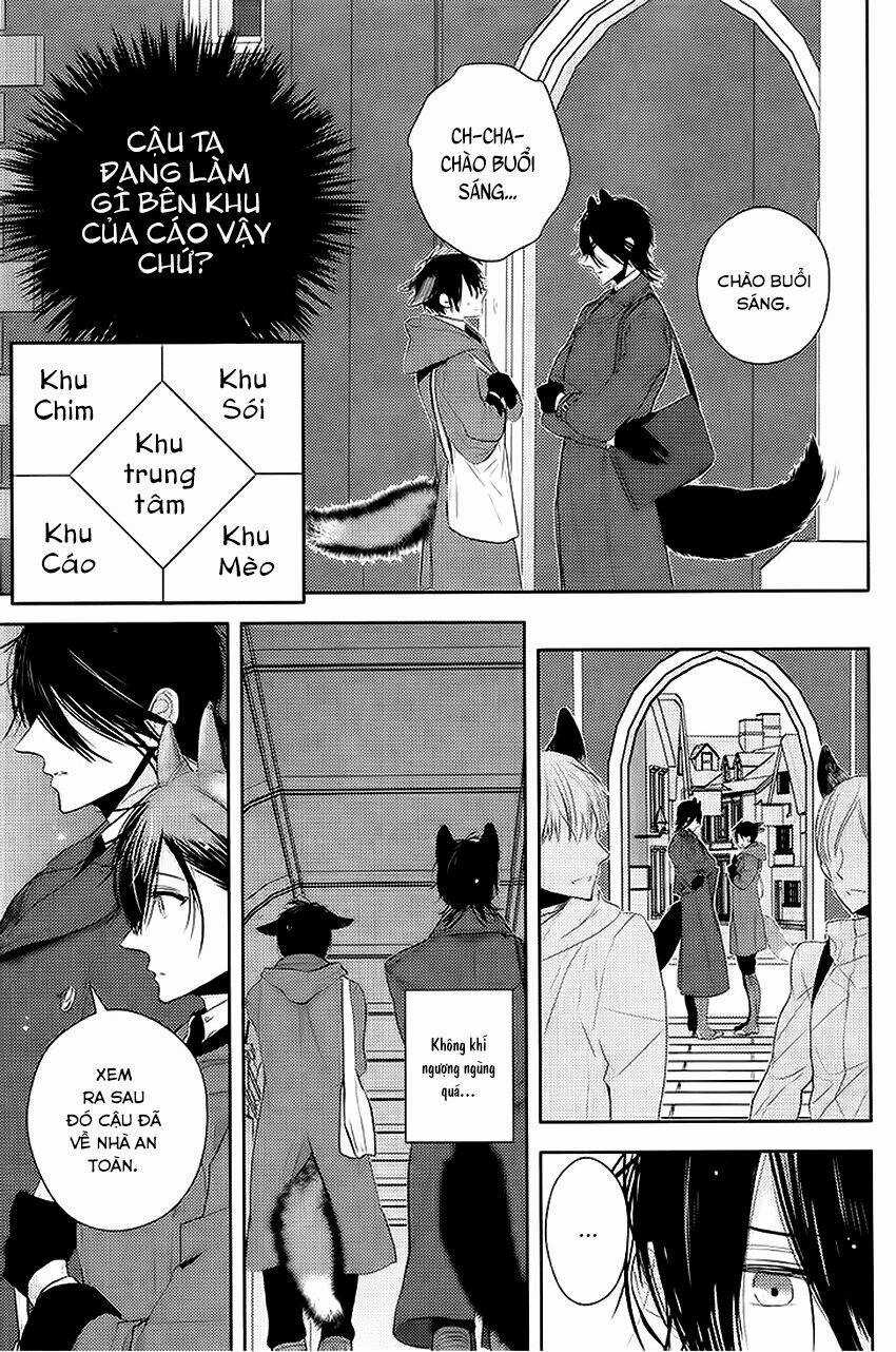Sói Đen Và Cáo Bạc Chapter 2 trang 14