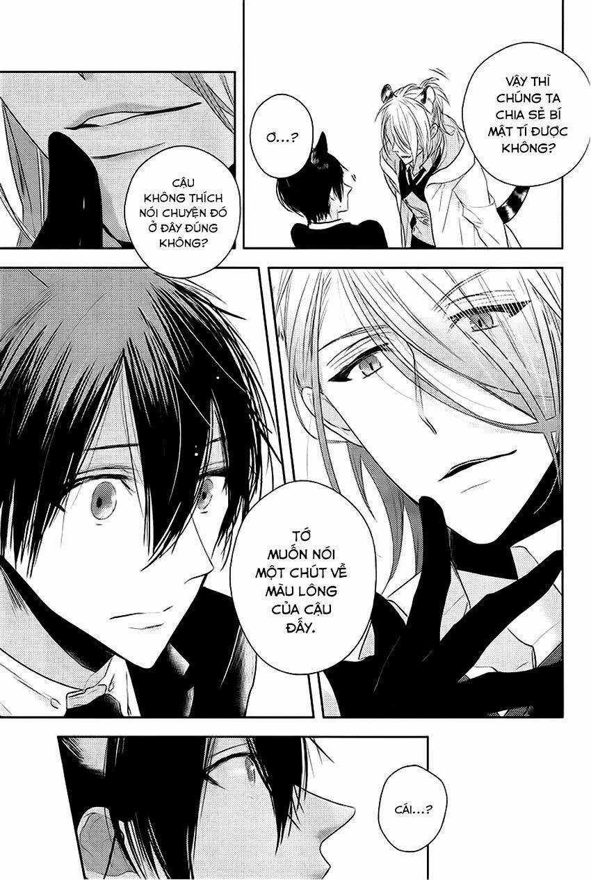 Sói Đen Và Cáo Bạc Chapter 2 trang 20