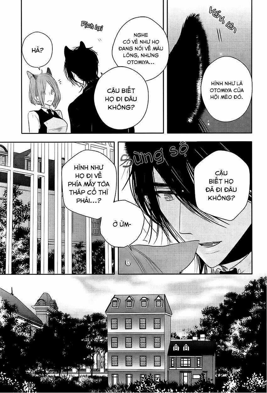 Sói Đen Và Cáo Bạc Chapter 2 trang 22