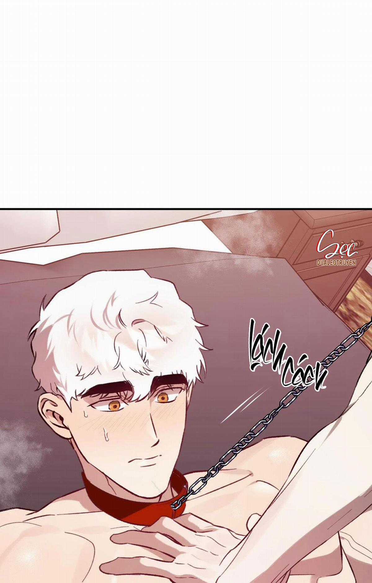 Sói Trong Lồng Chapter 24 trang 63