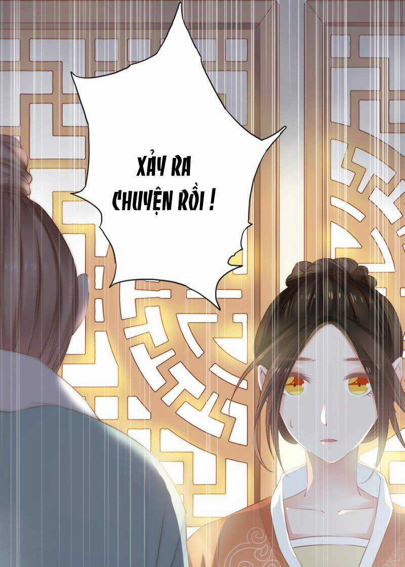 Solo Đi Vương Gia Chapter 100 trang 5