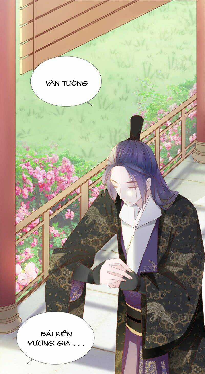 Solo Đi Vương Gia Chapter 104 trang 8