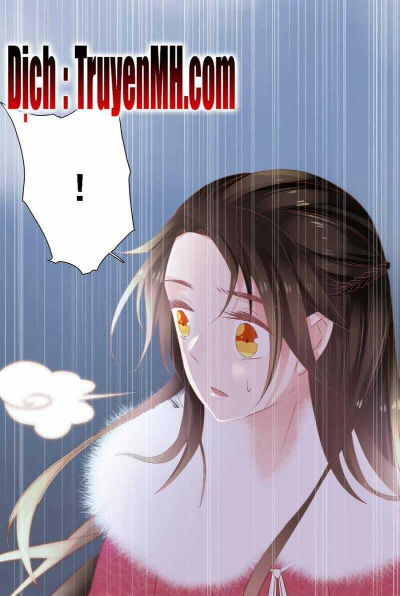 Solo Đi Vương Gia Chapter 106 trang 19