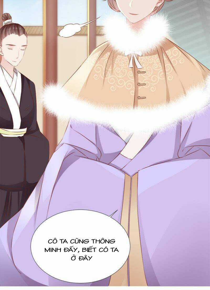 Solo Đi Vương Gia Chapter 107 trang 14