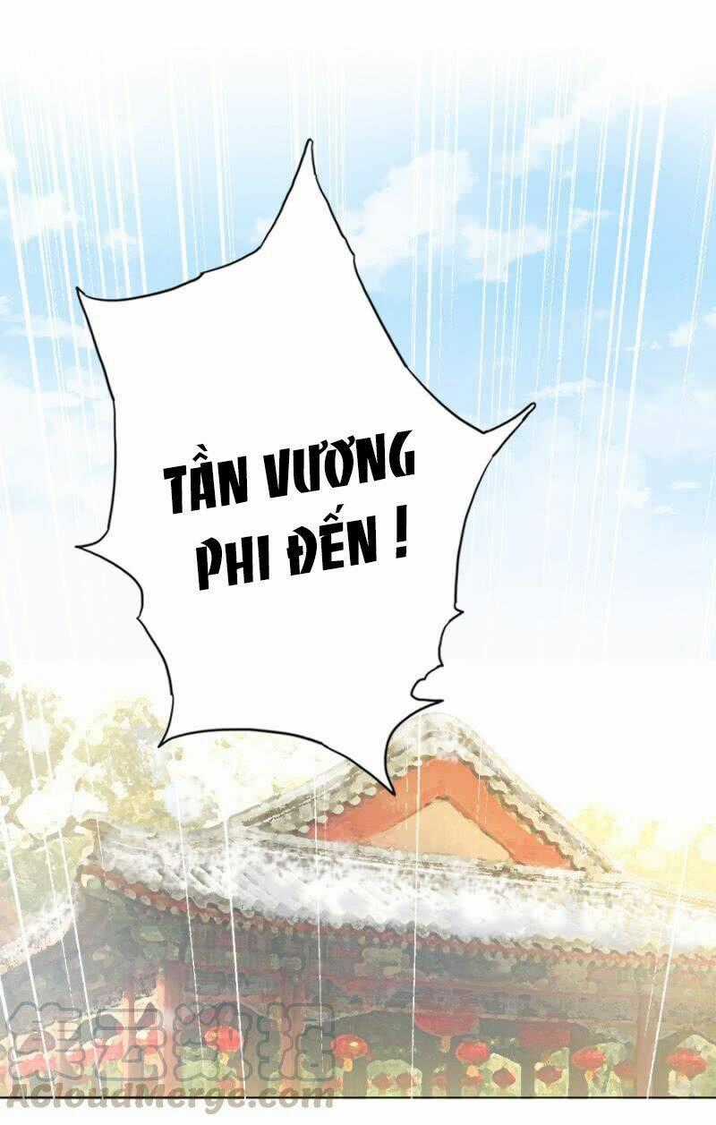 Solo Đi Vương Gia Chapter 107 trang 15