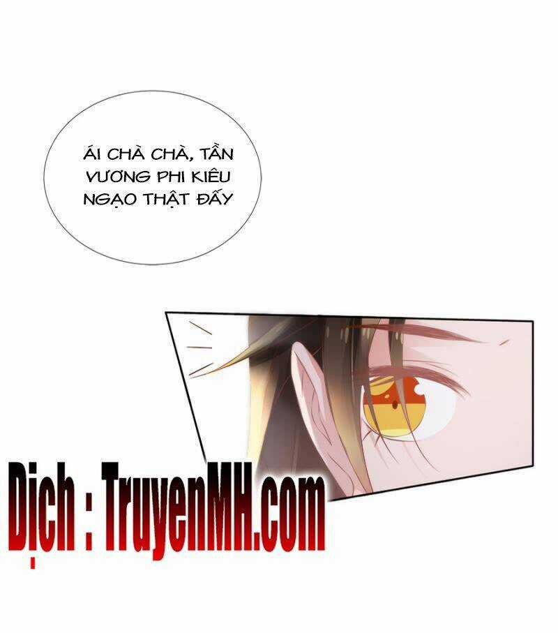 Solo Đi Vương Gia Chapter 108 trang 8