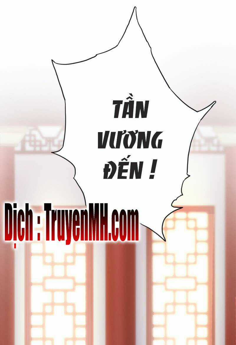 Solo Đi Vương Gia Chapter 112 trang 8