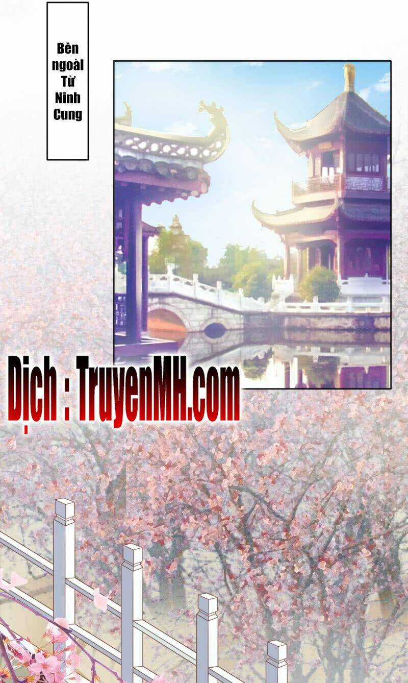 Solo Đi Vương Gia Chapter 114 trang 7