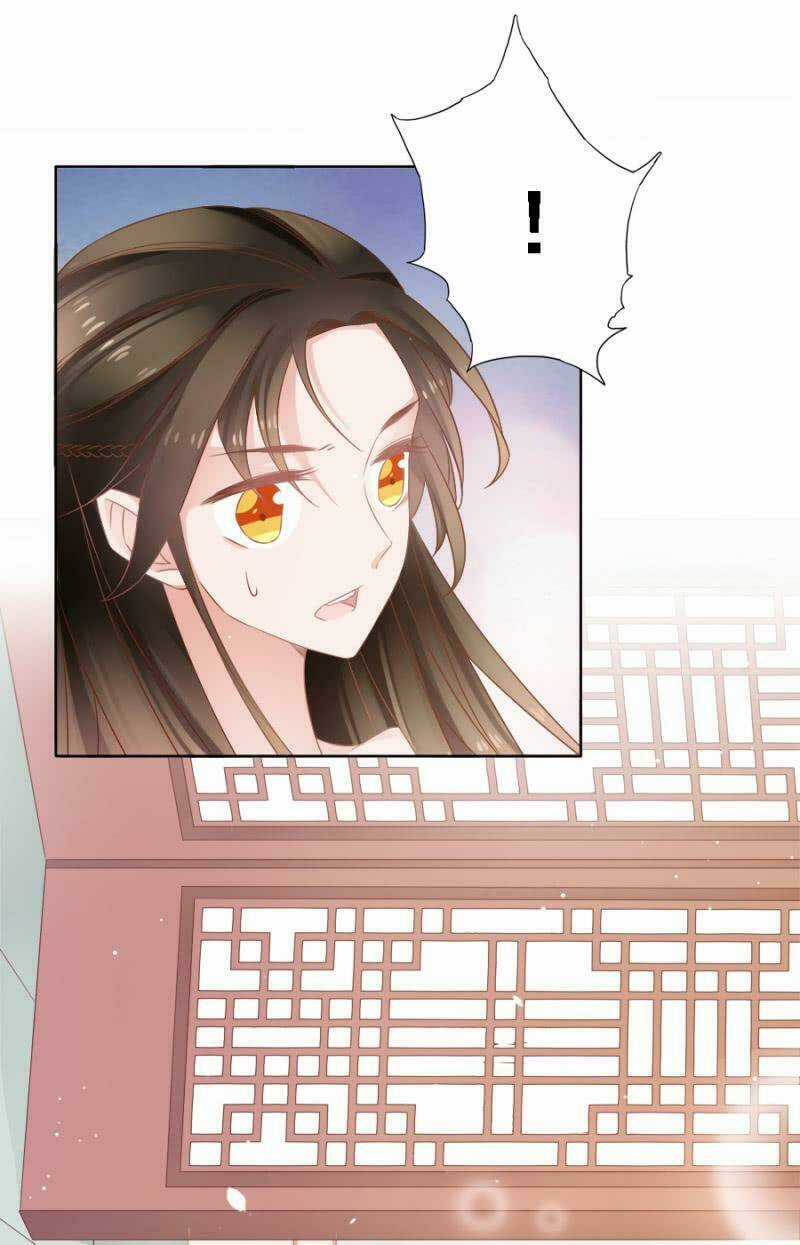 Solo Đi Vương Gia Chapter 120 trang 10
