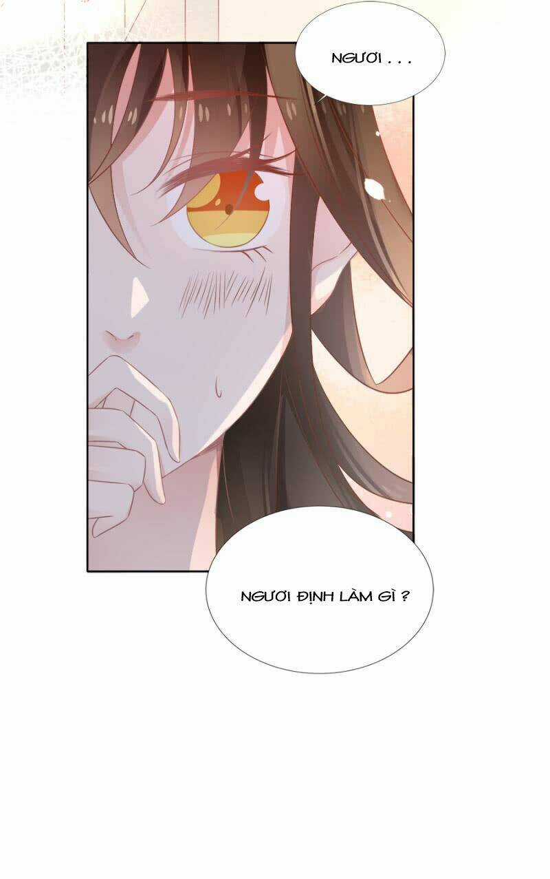 Solo Đi Vương Gia Chapter 120 trang 12