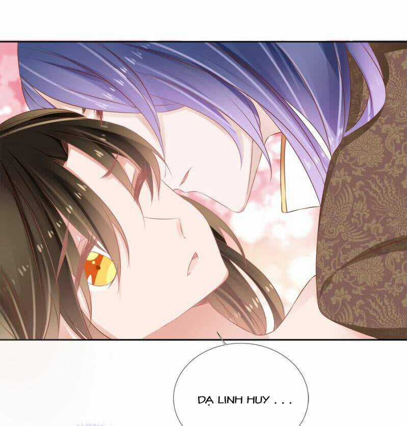 Solo Đi Vương Gia Chapter 120 trang 14