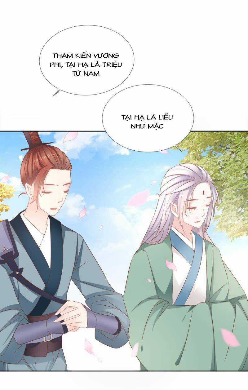 Solo Đi Vương Gia Chapter 124 trang 2