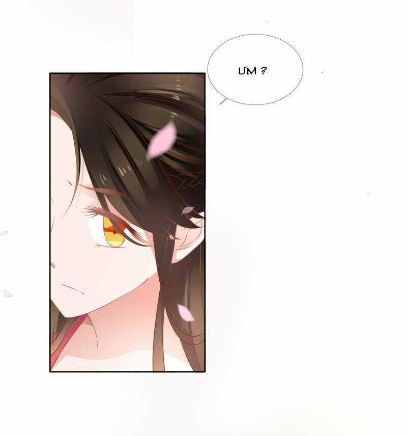 Solo Đi Vương Gia Chapter 124 trang 3