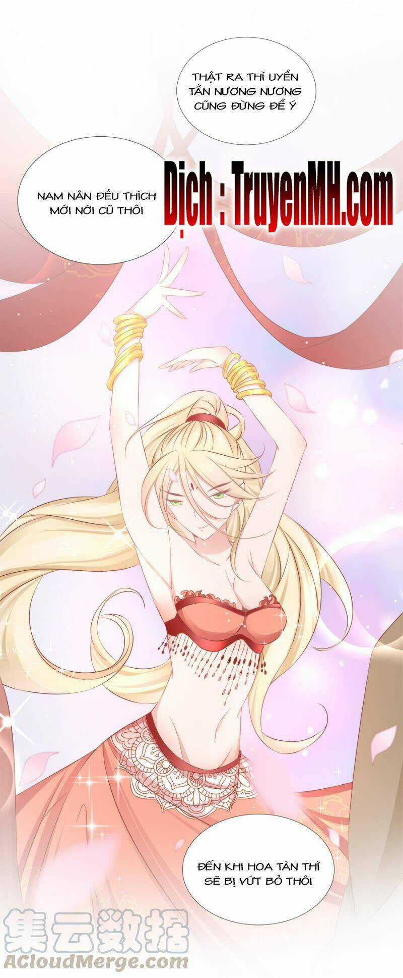 Solo Đi Vương Gia Chapter 126 trang 11