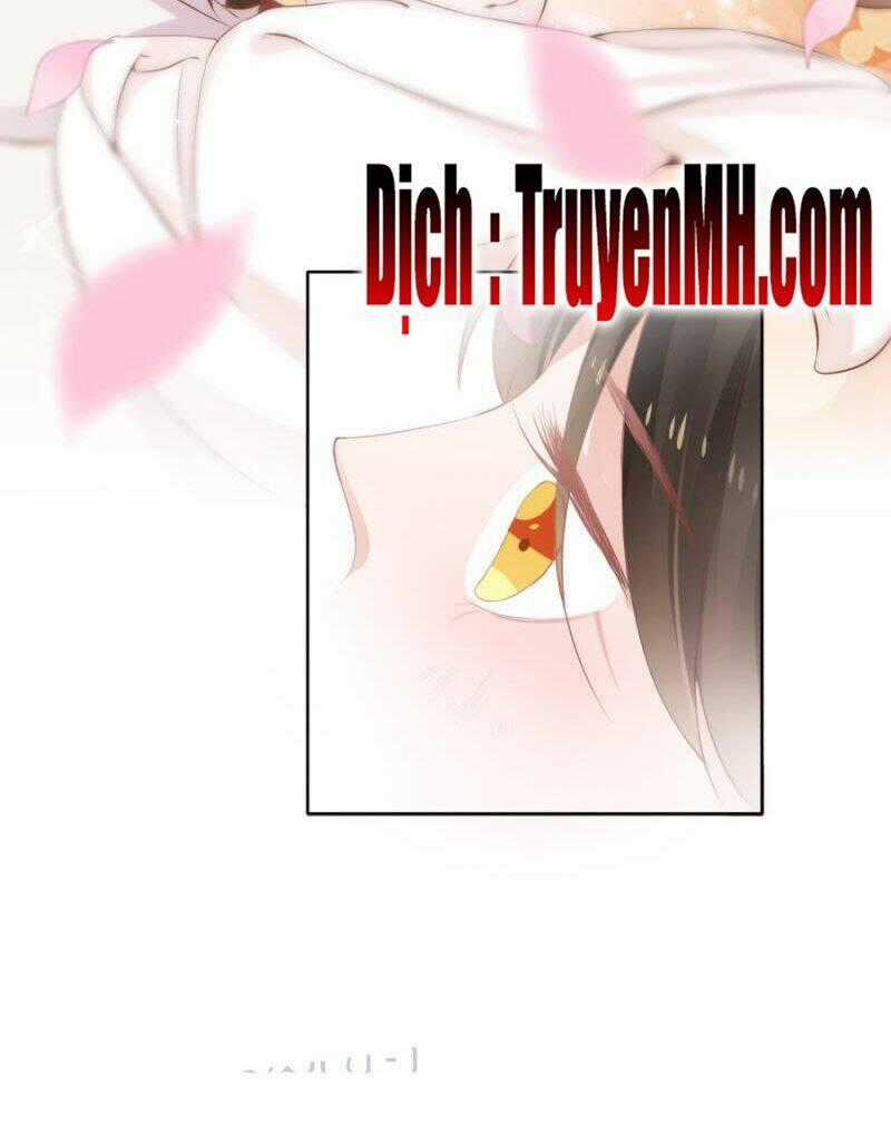 Solo Đi Vương Gia Chapter 129 trang 18