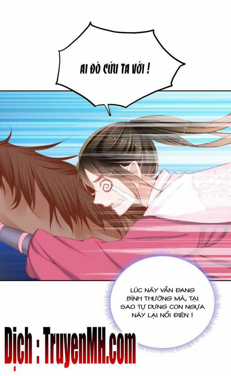 Solo Đi Vương Gia Chapter 134 trang 11