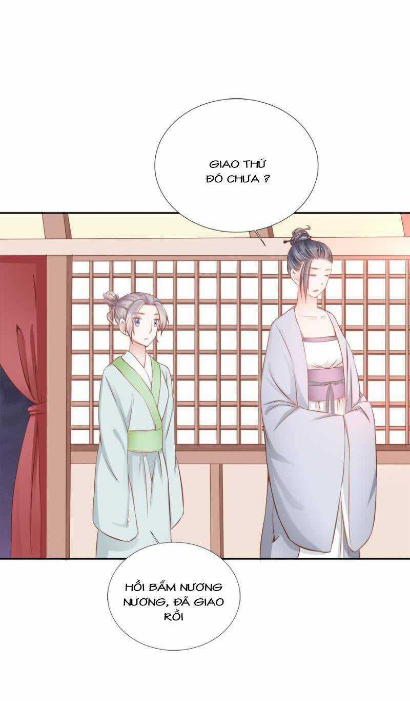 Solo Đi Vương Gia Chapter 135 trang 14