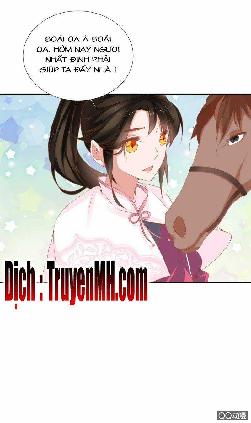 Solo Đi Vương Gia Chapter 137 trang 6