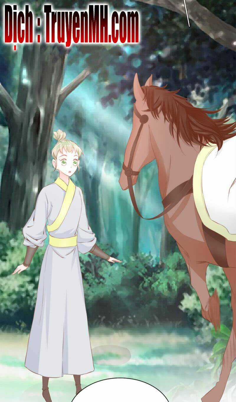 Solo Đi Vương Gia Chapter 138 trang 14