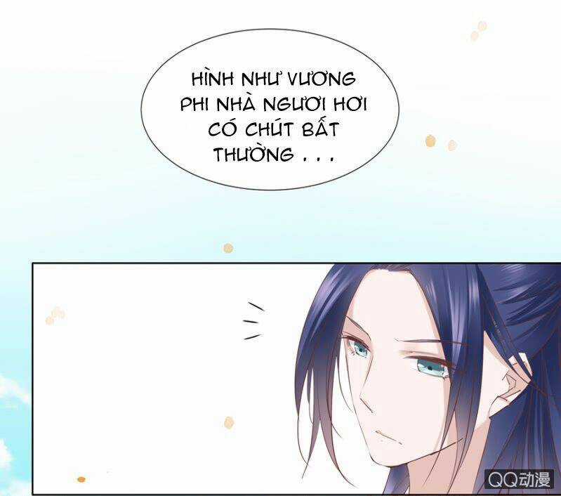 Solo Đi Vương Gia Chapter 2 trang 11