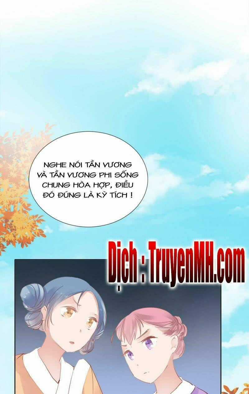 Solo Đi Vương Gia Chapter 43 trang 1