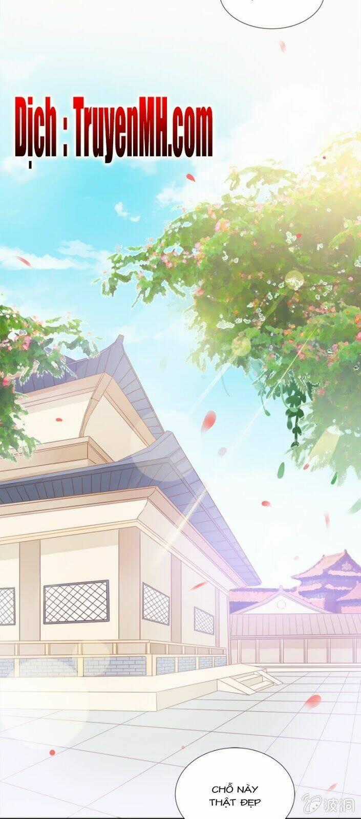 Solo Đi Vương Gia Chapter 49 trang 1