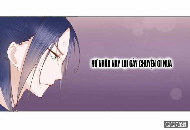 Solo Đi Vương Gia Chapter 5 trang 8