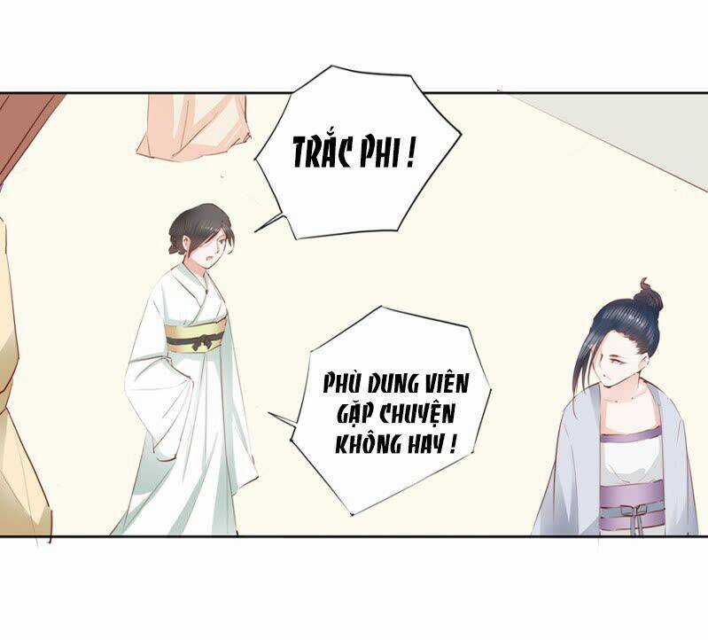 Solo Đi Vương Gia Chapter 8 trang 8