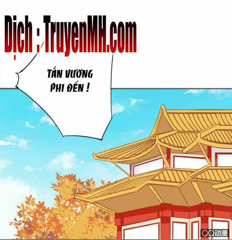 Solo Đi Vương Gia Chapter 81 trang 10