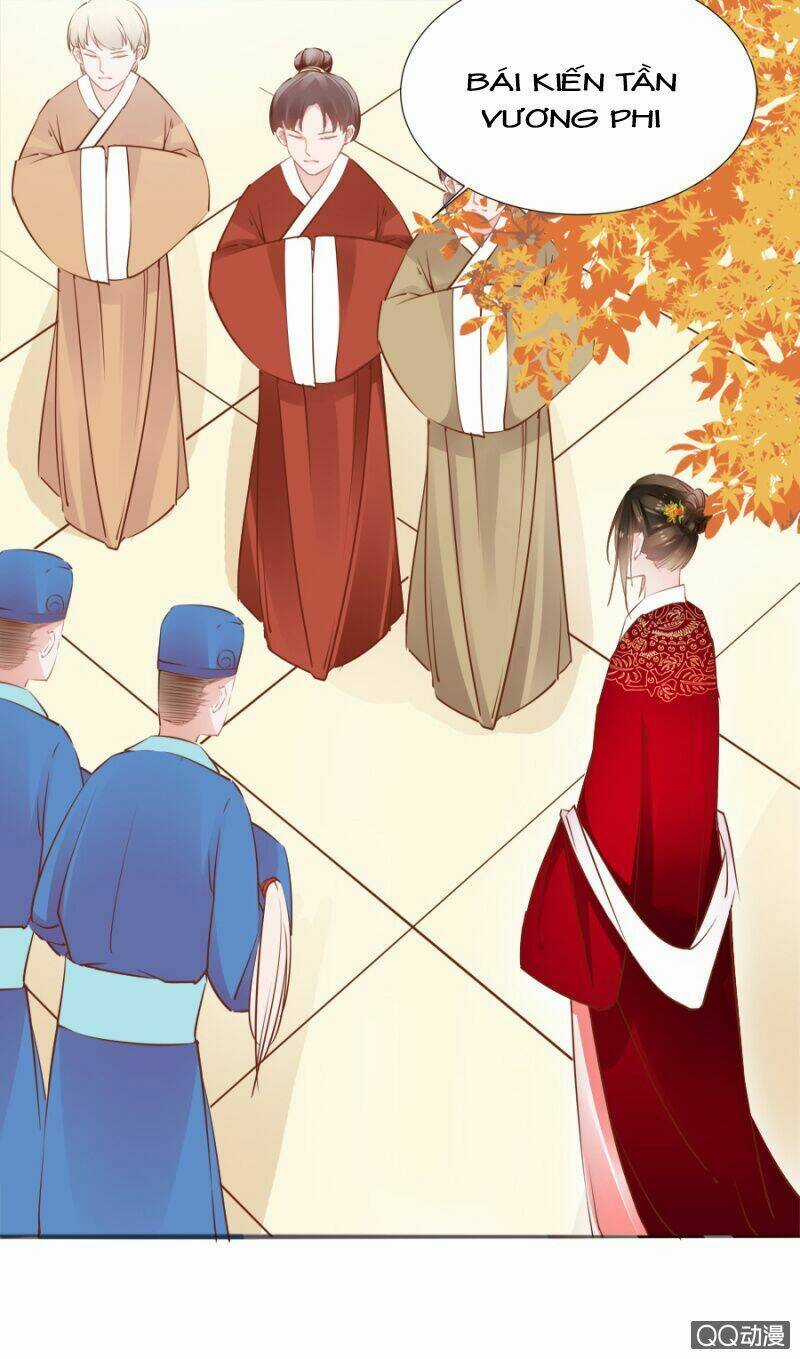 Solo Đi Vương Gia Chapter 81 trang 13