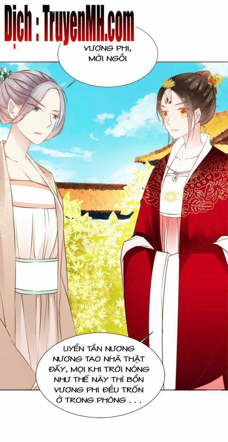 Solo Đi Vương Gia Chapter 81 trang 14