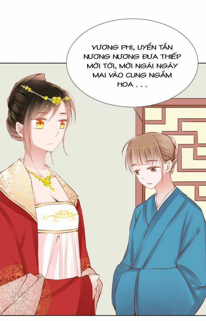 Solo Đi Vương Gia Chapter 81 trang 4