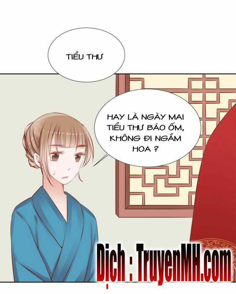Solo Đi Vương Gia Chapter 81 trang 8