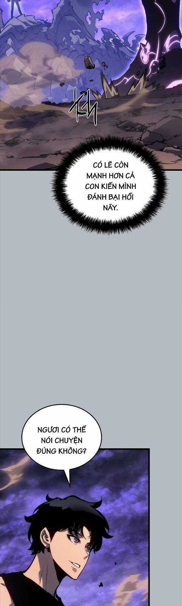 Solo Leveling Ss3 Chapter 19 trang 27