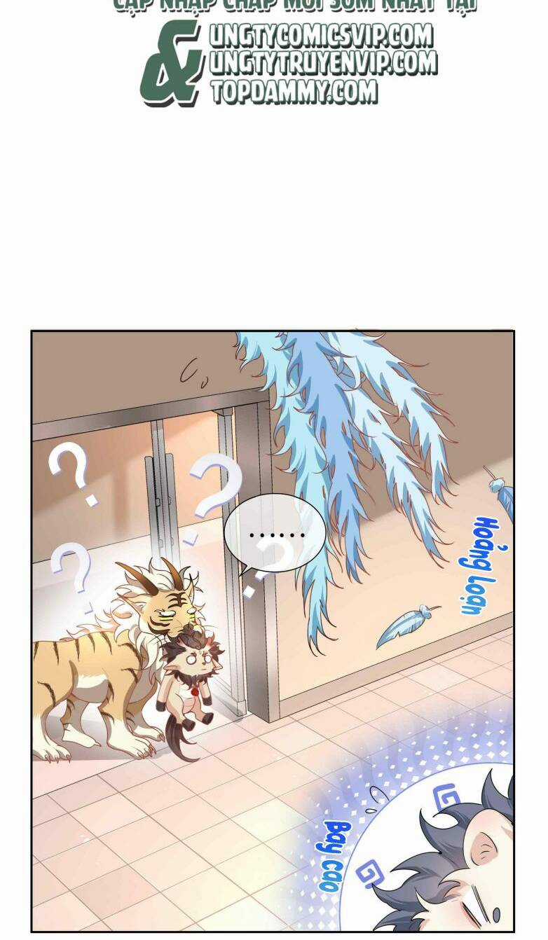 Sơn Hải Cao Trung Chapter 67 trang 11