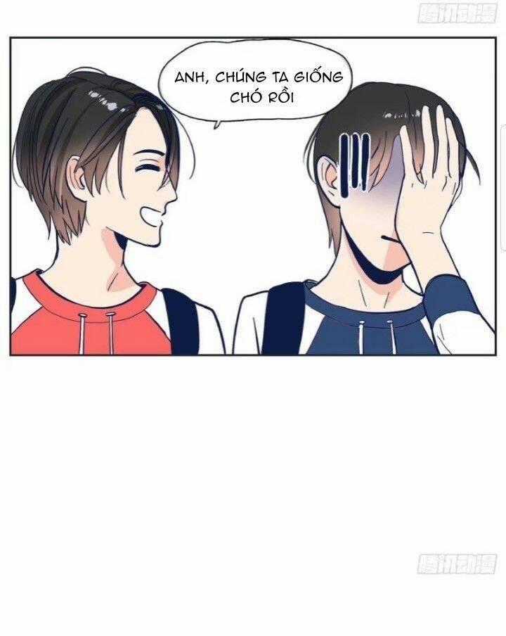 Song Bào Thai Theo Đuổi Nữ Thần Chapter 2 trang 17