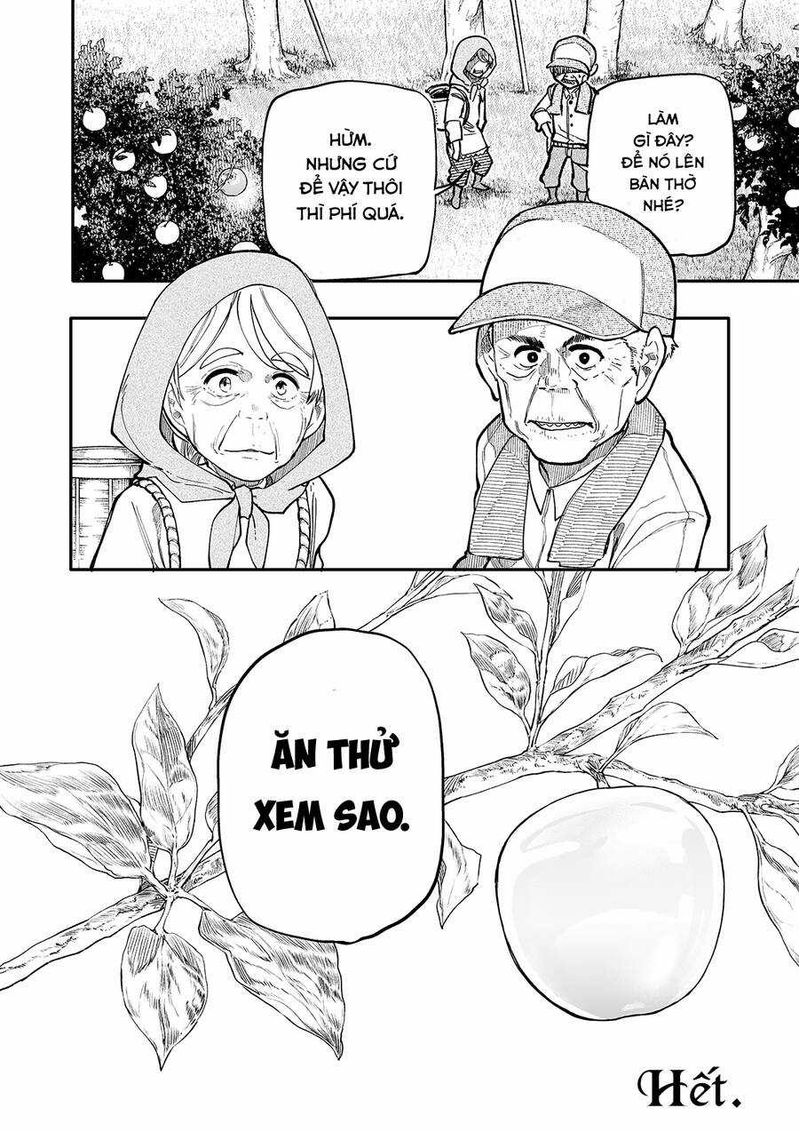 Sống Lại Tuổi 20 Chapter 198 trang 32