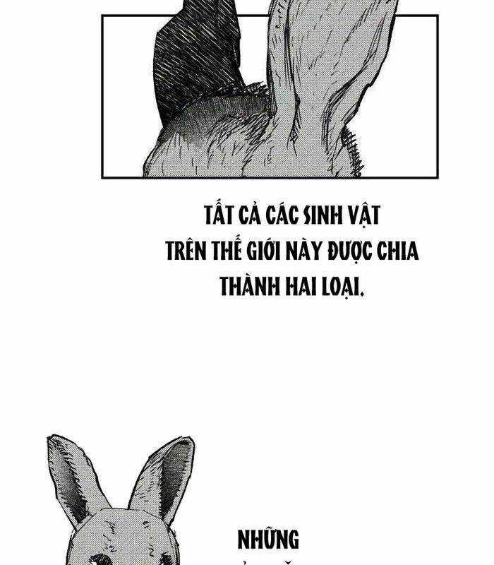 Sống Sót Qua Ngày Tận Thế Chương 41 trang 5