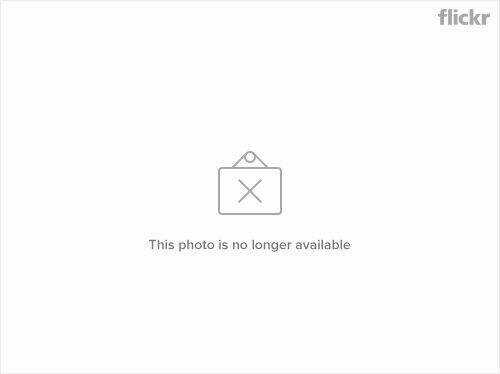 Song Tinh Âm Dương Sư Chapter 47 trang 4