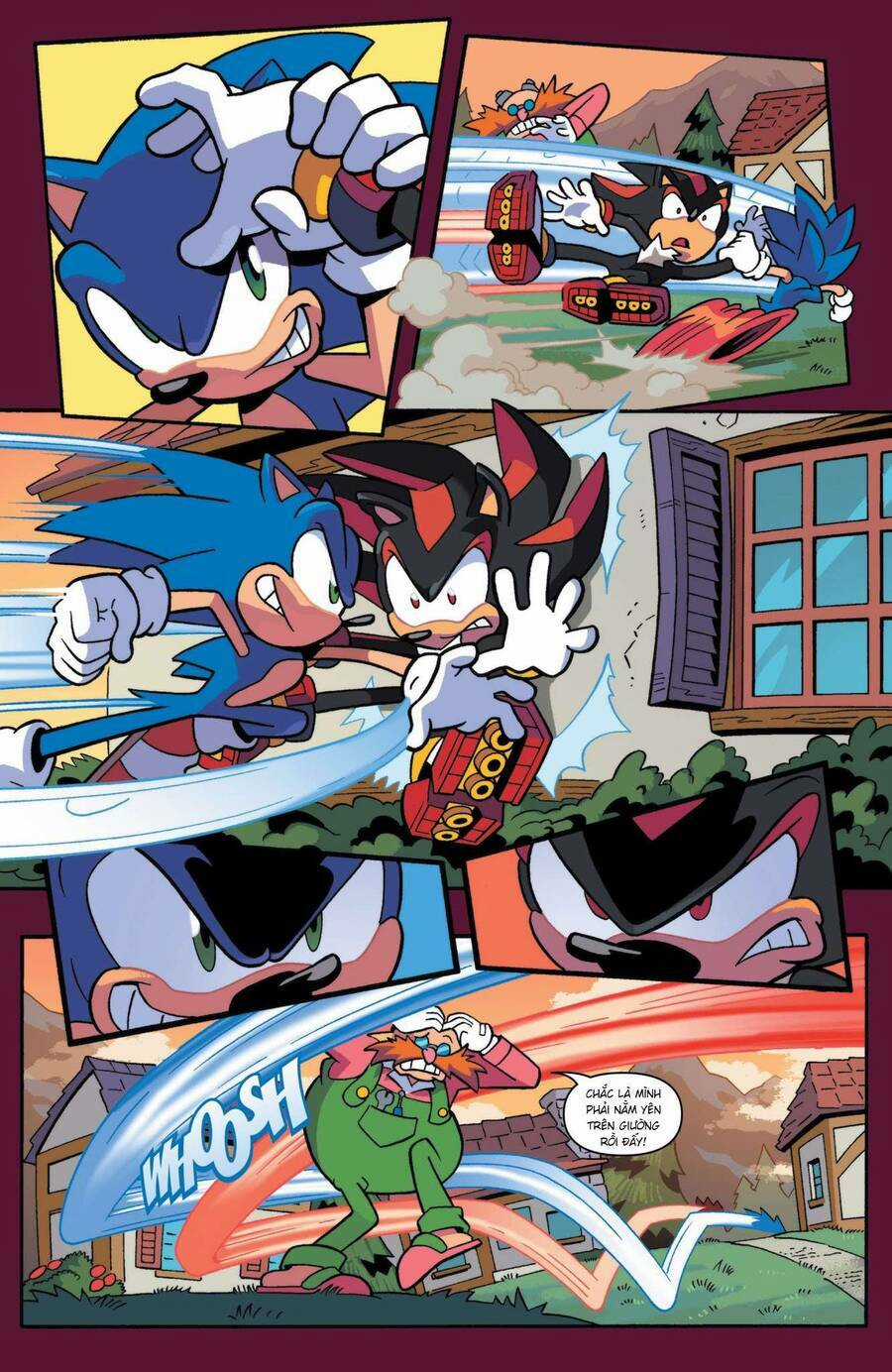 Sonic The Hedgehog Chapter 6 trang 5