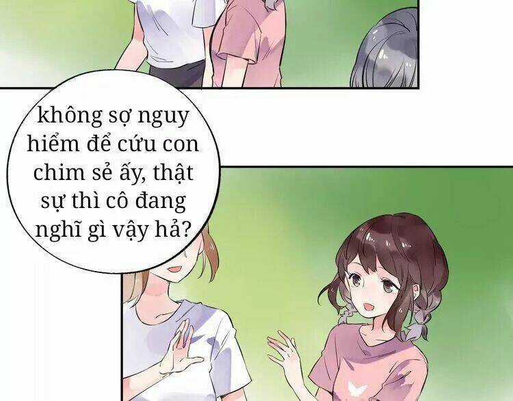 Sos! Tôi Đã Yêu Một Con Sâu Bướm Chapter 31 trang 21