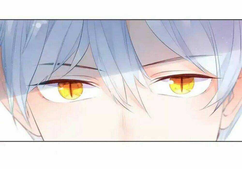 Sos! Tôi Đã Yêu Một Con Sâu Bướm Chapter 39 trang 14