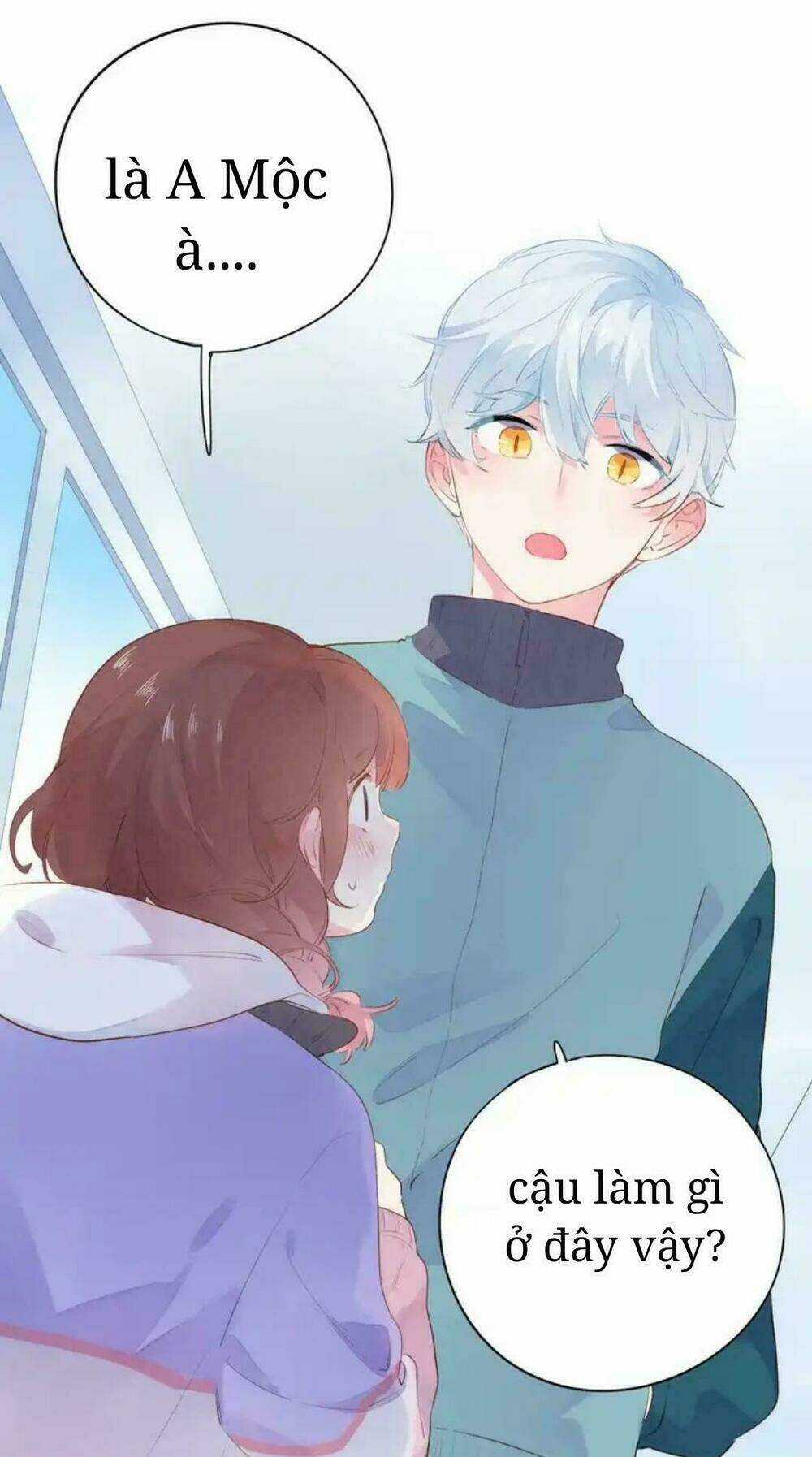Sos! Tôi Đã Yêu Một Con Sâu Bướm Chapter 49 trang 14