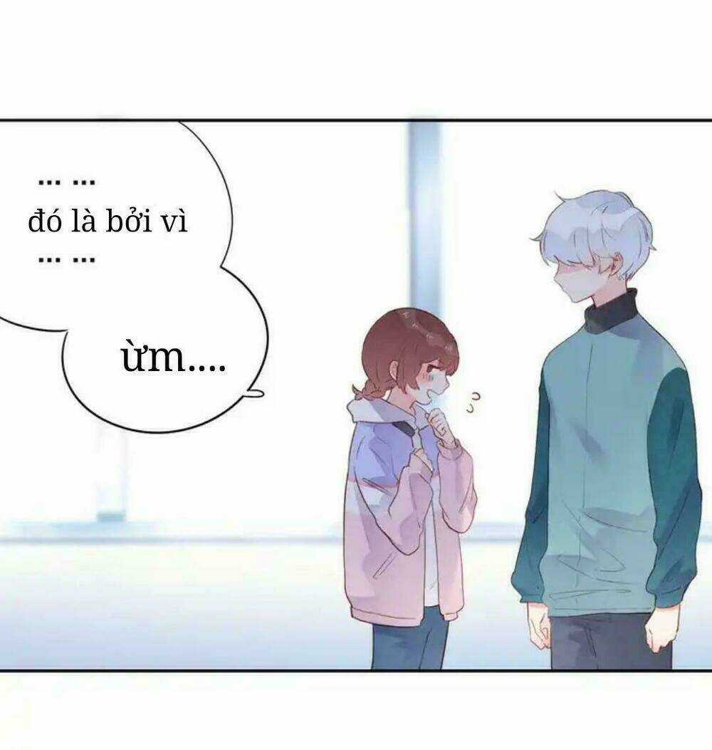 Sos! Tôi Đã Yêu Một Con Sâu Bướm Chapter 49 trang 33