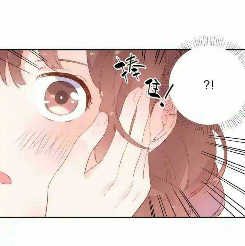 Sos! Tôi Đã Yêu Một Con Sâu Bướm Chapter 49 trang 49