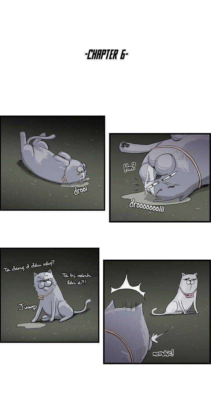 Special Martial Arts Extreme Hell Private High School Chapter 6 trang 15