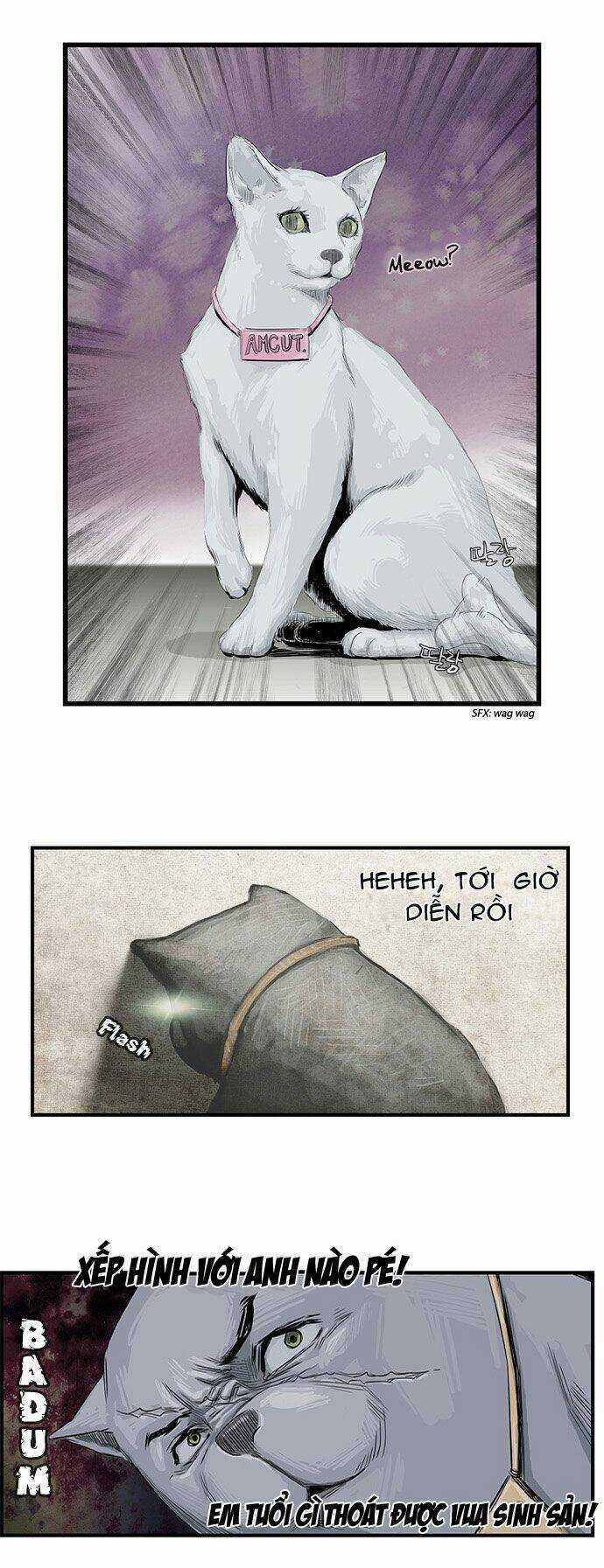 Special Martial Arts Extreme Hell Private High School Chapter 6 trang 16